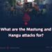 What is the purpose of the Mastung and Hangu attacks?