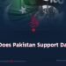 “Why Does Pakistan Support Daesh?”