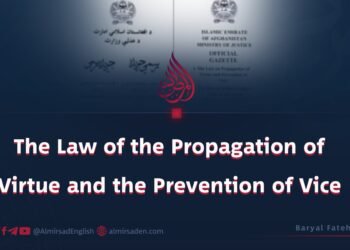 The Law of the Propagation of Virtue and the Prevention of Vice