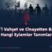 IŞİD’i Vahşet ve Cinayetten Başka Hangi Eylemler Tanımlar?