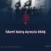 İslami Bakış Açısıyla DEAŞ