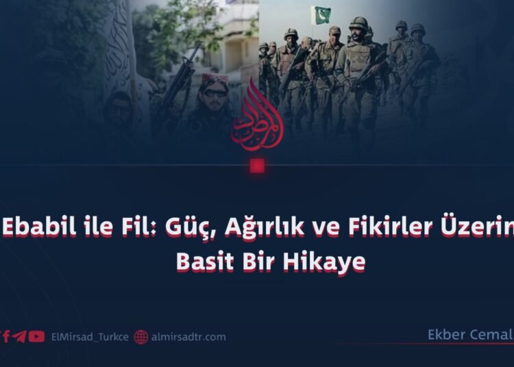 Ebabil ile Fil: Güç, Ağırlık ve Fikirler Üzerine Basit Bir Hikaye