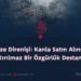 Gazze Direnişi: Kanla Satın Alınmış, Kırılmaz Bir Özgürlük Destanı