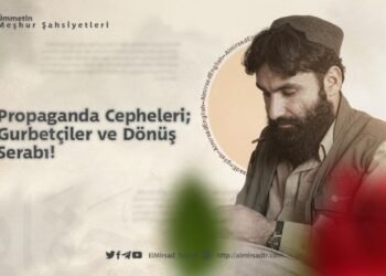Güzün Aguşunda Açan Gül