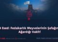 24 Esed: Fedakarlık Meyvelerinin Şafağının Ağardığı Vakit!