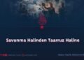 Savunma Halinden Taarruz Haline