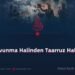 Savunma Halinden Taarruz Haline